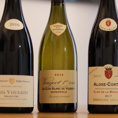 Ce Vougeot 1er cru Le Clos Blanc de Vougeot est l’un des 8 vins dégustés lors du cours privé consacré aux Clos de Bourgogne.