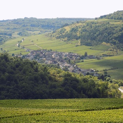 Pour la fête des mères, offrez une immersion dans le vignoble de la Côte de Nuits ou de la Côte de Beaune, avec une dégustation itinérante au cœur des premiers crus et des grands crus.