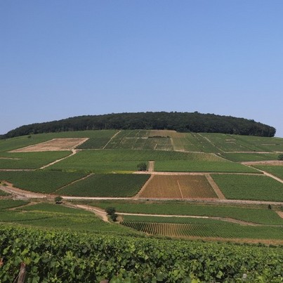 The wine tour "From Corton to Chambertin" is a good way to discover amazing views between Beaune and Morey-Saint-Denis.