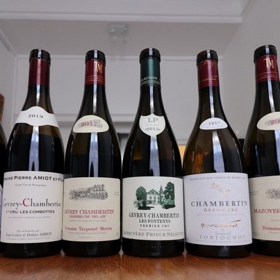 Exemple de dégustation privée et sur mesure: dégustation autour du village de Gevrey-Chambertin, avec des appellations communales, des 1er crus et des grands crus.