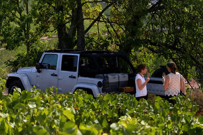 Private wine tasting in the vineyards during the From Corton to Montrachet wine tour in the Côte de Beaune.