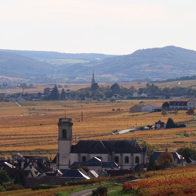 Les cours d'oenologie en automne