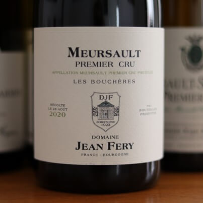 Meursault Tasting