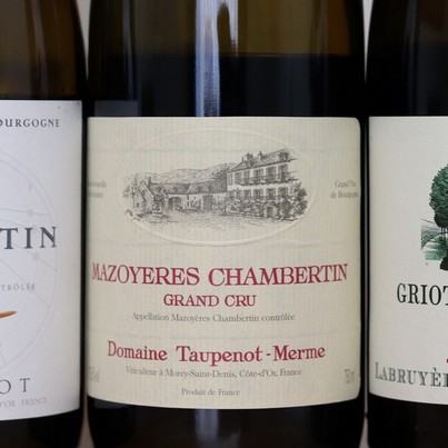 Parmi les 7 grands crus rouges dégustés lors du cours d’œnologie "Sensation Grands Crus", 6 proviennent de la prestigieuse Côte de Nuits.