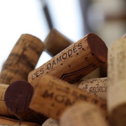 You can taste red wines from Côte de Nuits, Côte de Beaune and Côte Chalonnaise during the class "Pure Tasting".